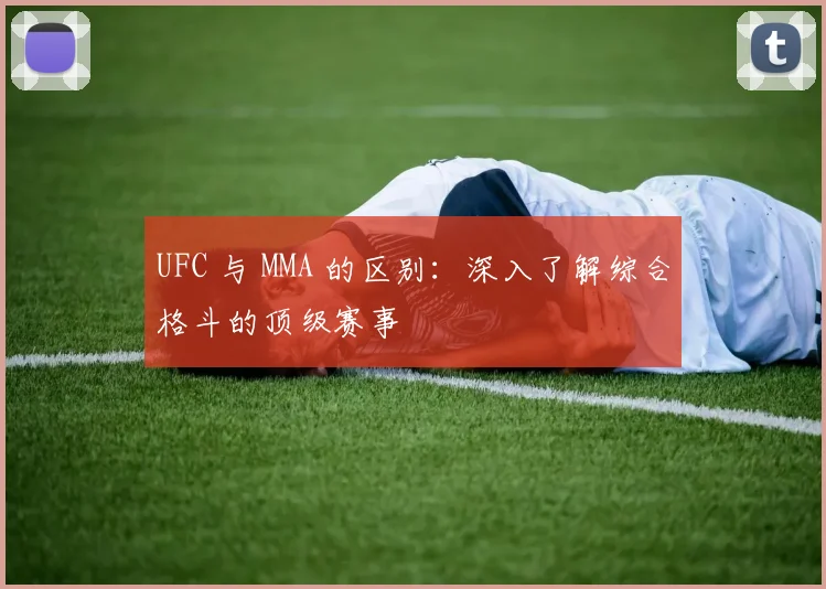 UFC 与 MMA 的区别：深入了解综合格斗的顶级赛事