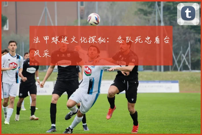 法甲球迷文化探秘:各队死忠看台风采