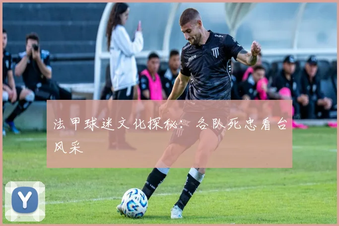 法甲球迷文化探秘：各队死忠看台风采