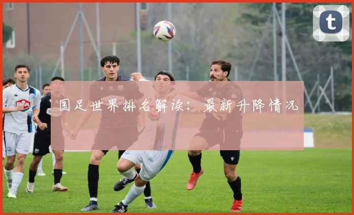 国足世界排名解读：最新升降情况