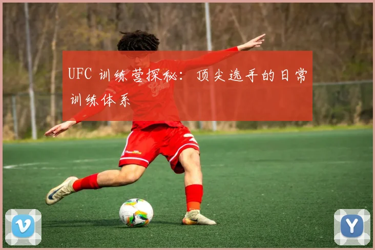 UFC 训练营探秘：顶尖选手的日常训练体系