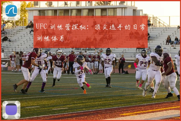 UFC 训练营探秘：顶尖选手的日常训练体系